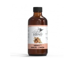 Buy HBNO™ Angel Limon Blends Oil in Bulk from Essential Natural Oils | free-classifieds-usa.com - 1