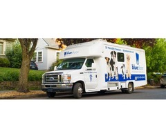 Mobile Vet in Oregon | free-classifieds-usa.com - 1