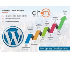 Give attractive look to your website through WordPress Theme Development by top WordPress Theme Deve | free-classifieds-usa.com - 2