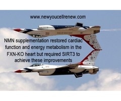 New You Cell Renews Anti-aging supplement NMN | free-classifieds-usa.com - 3