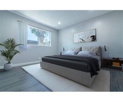Luxury One & Two Bedroom Apartments for Rent in Highland CA | free-classifieds-usa.com - 1