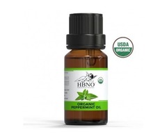 Shop Now! Organic Peppermint Essential Oil from Global Wholesale Suppliers and Manufacturer | free-classifieds-usa.com - 1