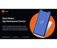 Expert React Native Mobile App Development Company in USA  | free-classifieds-usa.com - 2