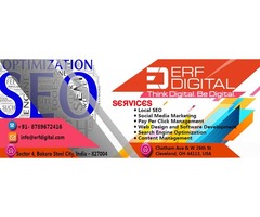 ERF Digital Solutions – Premier Digital Marketing Company | free-classifieds-usa.com - 1