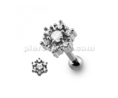 Casting Flower Crystal Cartilage Piercing Earring | free-classifieds-usa.com - 1