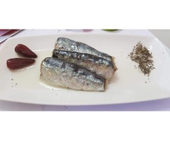 Bulk Moroccan Sardines wholesale | free-classifieds-usa.com - 2