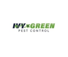 Residential Pest Control Services DFW | Home Pest Control – IVY Green | free-classifieds-usa.com - 1