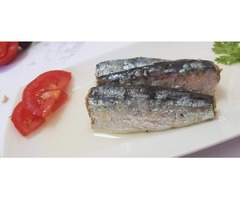 Bulk Moroccan Sardines  | free-classifieds-usa.com - 2