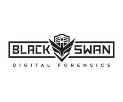 Black Swan Digital Forensics | free-classifieds-usa.com - 1