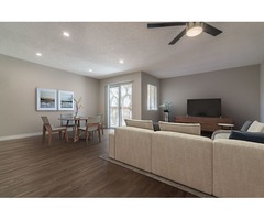 The Modern Cactus - Apartments for Rent in Palm Springs CA | free-classifieds-usa.com - 1