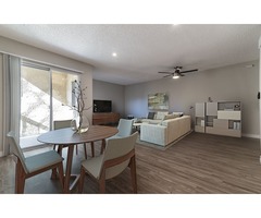 The Modern Cactus - Apartments for Rent in Palm Springs CA | free-classifieds-usa.com - 3