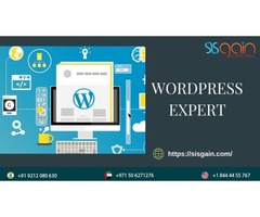 Developing websites with the best team of WordPress expert | free-classifieds-usa.com - 1