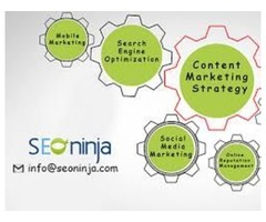 Best seo company in New York - SEONinja.com | free-classifieds-usa.com - 1