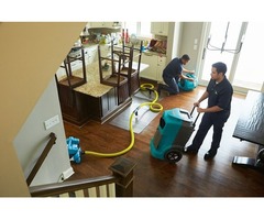 Water Damage Home Repair and Water Damage Services | free-classifieds-usa.com - 1