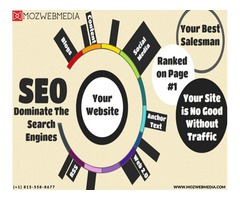Search Engine Optimization Services in Chicago | free-classifieds-usa.com - 1