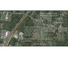 2 lands 5 acres +, with houses and buildings | free-classifieds-usa.com - 1