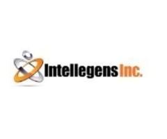 Intellegens 24/7 Server Support | free-classifieds-usa.com - 1