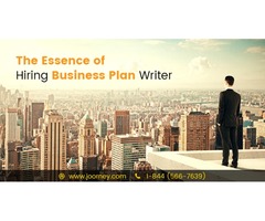 Professional Business Plan Writers  | free-classifieds-usa.com - 1
