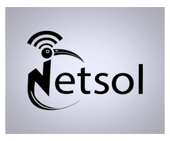 Best NETSOL Technologies Inc | free-classifieds-usa.com - 2