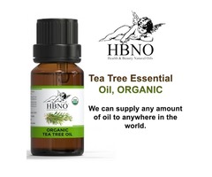 Buy Now! Online Natural Tea Tree Essential Oil In Bulk | free-classifieds-usa.com - 1