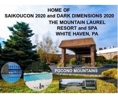 LIMITED MERCHANT SPACES AT SAIKOUCON 2020 | free-classifieds-usa.com - 2