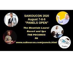 LIMITED MERCHANT SPACES AT SAIKOUCON 2020 | free-classifieds-usa.com - 3