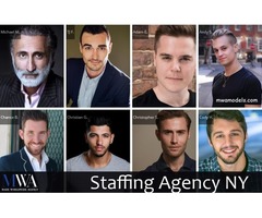 Staffing Agency NY | free-classifieds-usa.com - 1