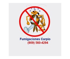 Fumigaciones Carpio | free-classifieds-usa.com - 1