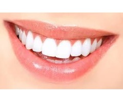 Tampa Top Dentist Offers Service to Care for Your Mouth | free-classifieds-usa.com - 1