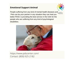 Emotional support animal letter sample | free-classifieds-usa.com - 1