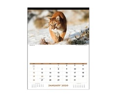 Wildlife Calendars | free-classifieds-usa.com - 1