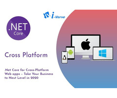i-Verve Inc - ASP.NET Development Company in New Jersey | free-classifieds-usa.com - 1