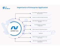 i-Verve Inc - ASP.NET Development Company in New Jersey | free-classifieds-usa.com - 2