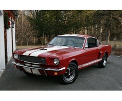 1966 Ford Mustang GT350 "R" code salutation | free-classifieds-usa.com - 1