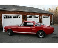 1966 Ford Mustang GT350 "R" code salutation | free-classifieds-usa.com - 4