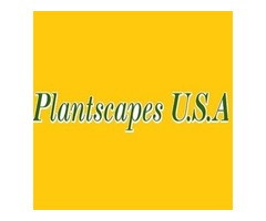 Decorate your indoors with select range of plants | free-classifieds-usa.com - 1
