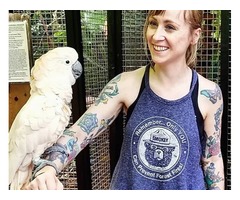 Macaws For Sale | free-classifieds-usa.com - 1