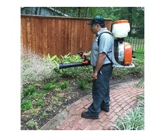 Enjoy Your Yard Again with Tick Spray  | free-classifieds-usa.com - 1