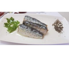 Moroccan sardines company | free-classifieds-usa.com - 2