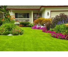 Felix landscaping and clean services  | free-classifieds-usa.com - 2