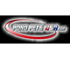 Best Koi Pond Supplies | free-classifieds-usa.com - 1