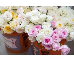 DIY Flowers on Wedding and Other Special Occasions | free-classifieds-usa.com - 2