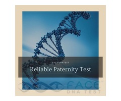 Reliable paternity test | free-classifieds-usa.com - 1