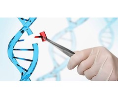Face match DNA | free-classifieds-usa.com - 1