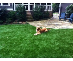 Florida Turf Company Provides High-quality Artificial Grass Installation Services in Jacksonville | free-classifieds-usa.com - 2