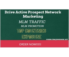 I will drive prospect network marketing MLM promotion, mlm traffic | free-classifieds-usa.com - 1