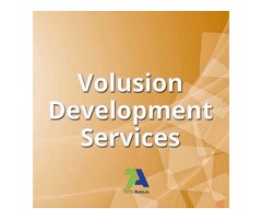 Top Volusion Development Services Company in USA | free-classifieds-usa.com - 1