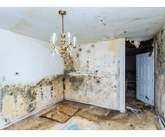 Water Damage Service Near Me The Woodlands TX | free-classifieds-usa.com - 1