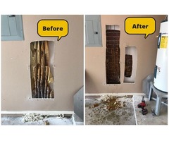 Professional Bee Removal Service | free-classifieds-usa.com - 1