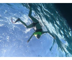 Snorkeling Turks and Caicos | free-classifieds-usa.com - 1